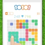 1010! Block Puzzle Game gameplay screenshot