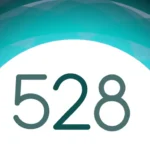 528 Player Pro interface