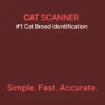 Cat Scanner interface displaying breed identification results