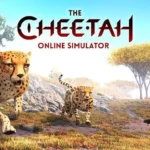 Cheetah in the wild