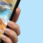 Detailed view of Picture Fish – Fish Identifier