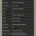 Dev Tools App Info