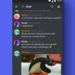 Discord Interface on Mobile