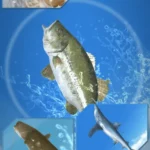 Fishing Season :River To Ocean