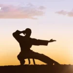 Karate Training App Interface