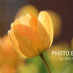 Photo Editor Interface