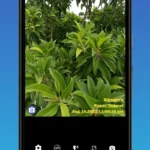 PhotoStamp Camera interface
