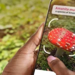 Picture Mushroom interface showing mushroom identification