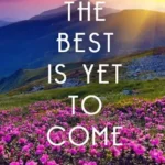 Picture Quotes App Interface