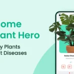 PlantIn: Plant Identification app interface showing plant identification feature