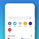 Pure Browser Pro interface