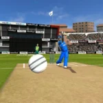 Real Cricket 20 Gameplay