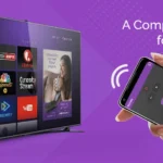 Remote Control for Roku TV interface