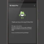 SD Maid Pro interface