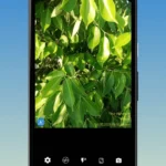TimeStamp Camera interface