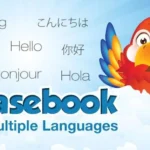 Travel Phrasebook home screen