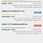 tTorrent interface