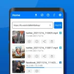 Video Downloader interface