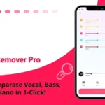 Vocal Remover Pro interface
